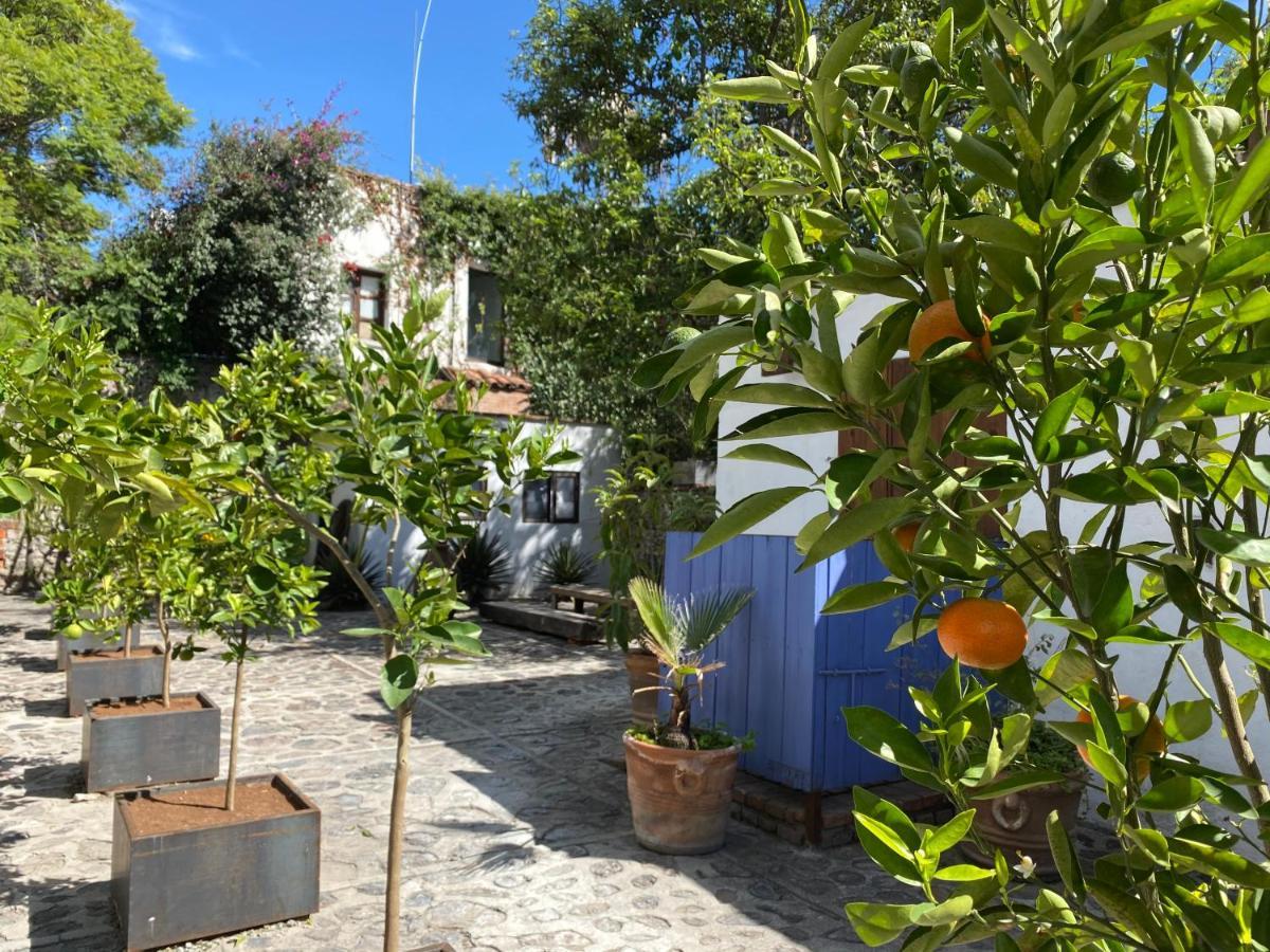 Colibri - Hotel&spa