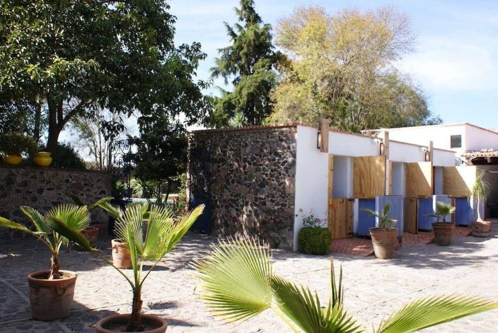 Colibri - Hotel&spa Hotel 3*
